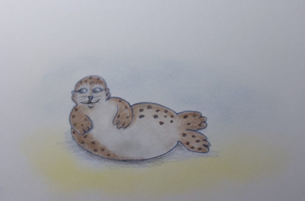 Mijn creatieve avonturen : Zeehondje tekenen.